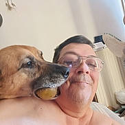 Muzo participe au concours pour gagner de l'argent avec cette photo : animal, brown_dog, chew_toy, closeup, companion, curtain, dog, face, funny, glasses, home, human, indoor, person, pet, portrait, selfie, shoulder, toy, window