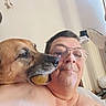 animal, brown_dog, chew_toy, closeup, companion, curtain, dog, face, funny, glasses, home, human, indoor, person, pet, portrait, selfie, shoulder, toy, window