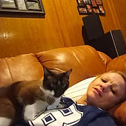 Sambo is registered to the contest to win money with this photo: woman, cat, indoor, couch, leather, wood_paneling, framed_photos, relaxed, casual, pet, animal, feline, home, comfort, resting, portrait, brown, white, blue_clothing, sports_jersey