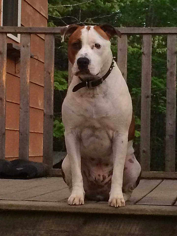 Ragnar