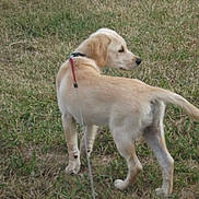 TOBBY participe au concours pour gagner de l'argent avec cette photo :