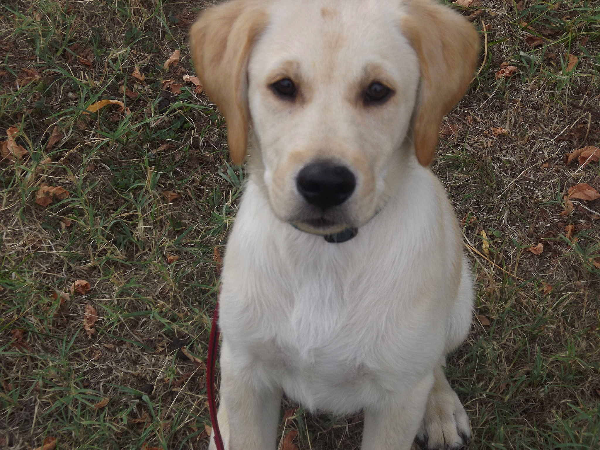 TOBBY participe au concours pour gagner de l'argent avec cette photo :