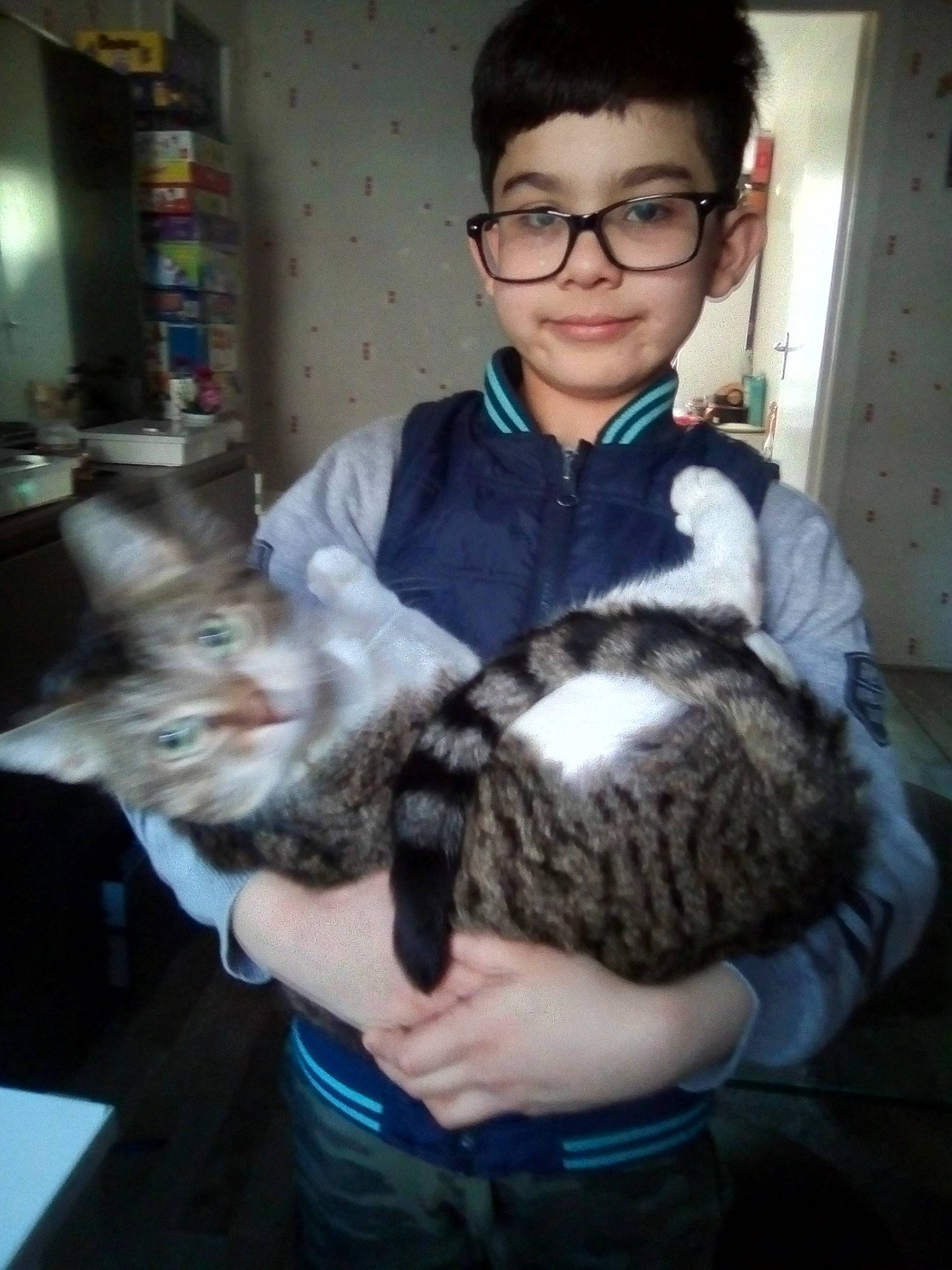 Layla participe au concours pour gagner de l'argent avec cette photo : american_shorthair, asian, carnivore, cat, domestic_short_haired_cat, european_shorthair, felidae, fur, glasses, joy, norwegian_forest_cat, person, small_to_medium_sized_cats, whiskers