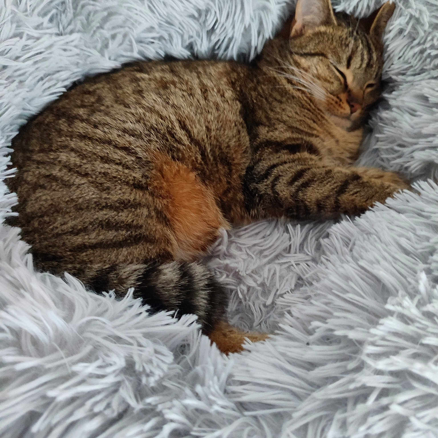 Roxanne