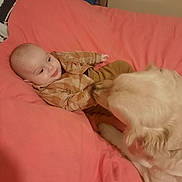 Sacha a rejoint le concours — aidez-le/la à gagner de superbes lots ! animal, baby, bedroom, blanket, child, comfort, cozy, cute, dog, friendship, golden_retriever, hand, indoor, infant, lying_down, nuzzling, pet, pink, soft, warm