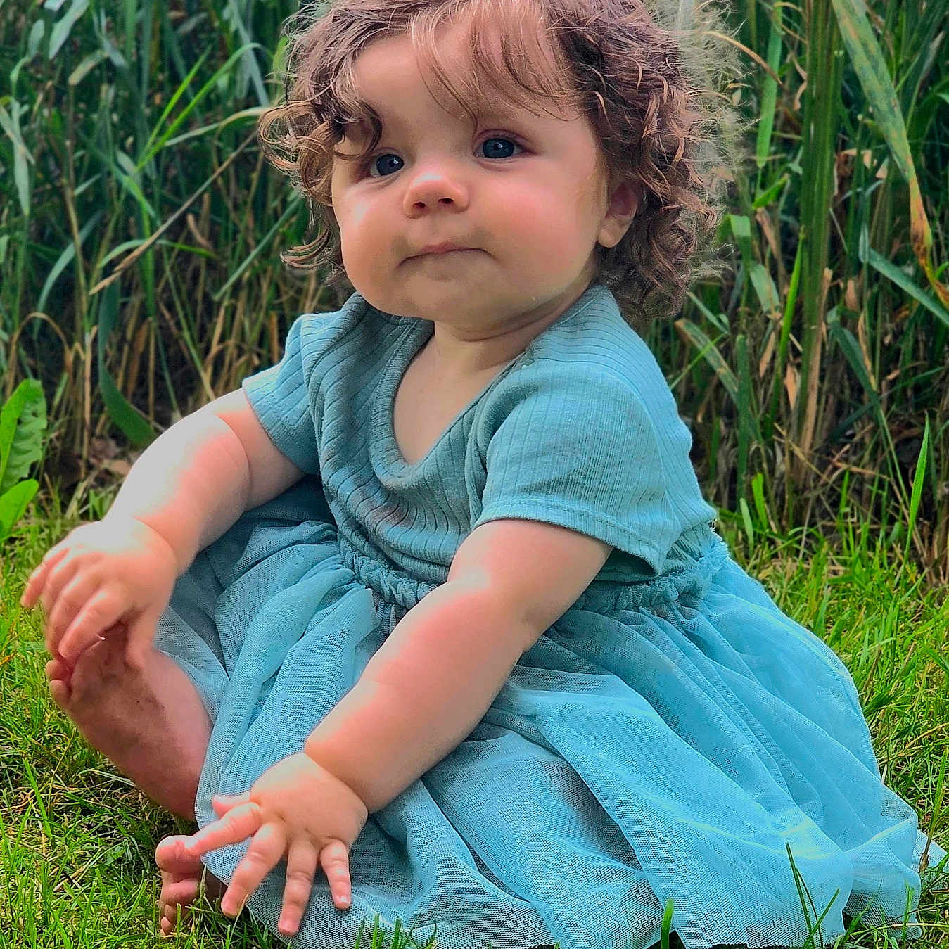 Sagelynn joined the competition — help win amazing prizes! toddler, child, baby, curly_hair, blue_dress, outdoor, grass, field, plants, portrait, sitting, face, smiling, long_hair, barefoot, nature, greenery, daylight, photography, cute