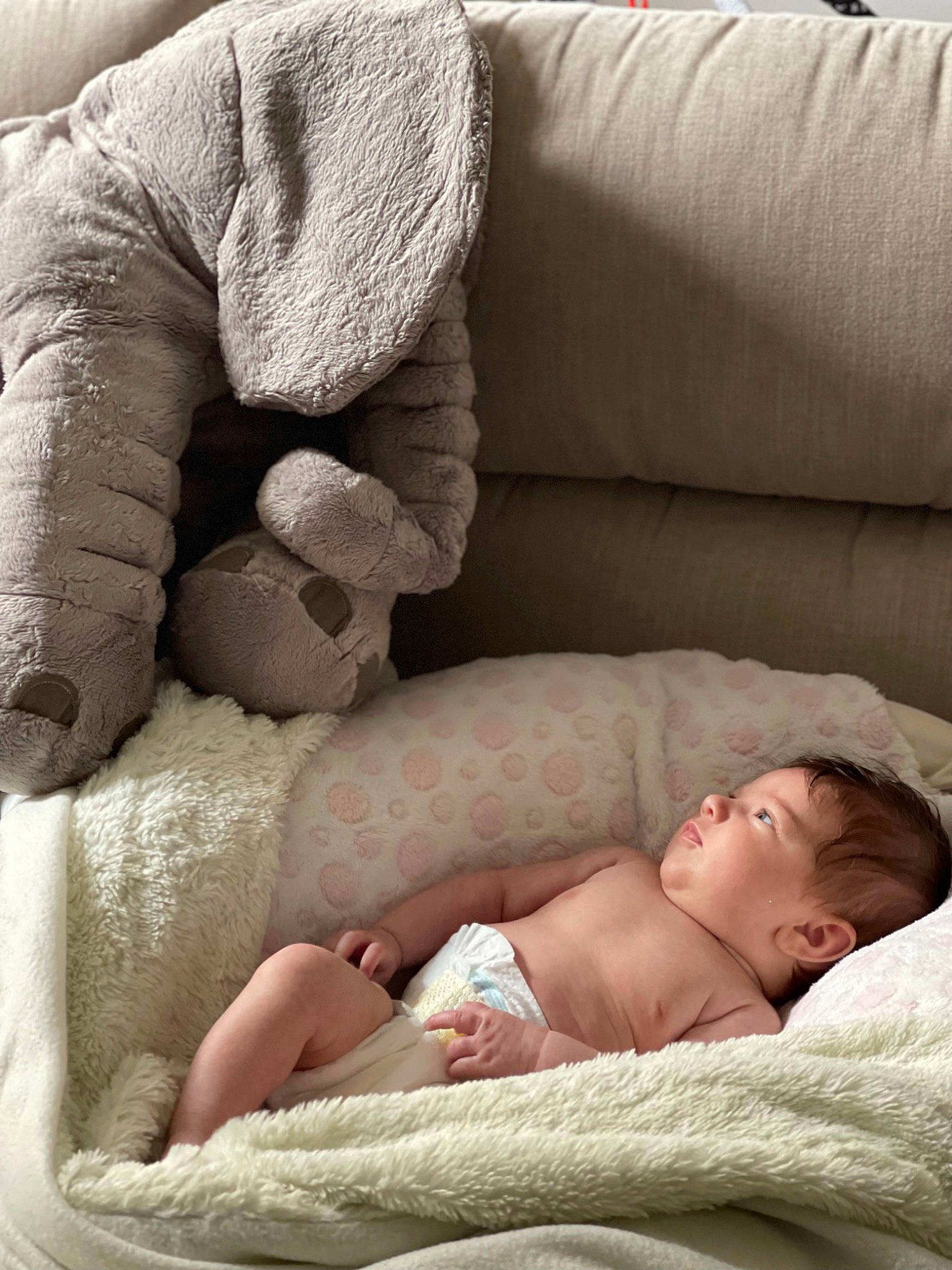 Giulia a rejoint le concours — aidez-le/la à gagner de superbes lots ! baby, baby_sleeping, barefoot, bedtime, child, comfort, couch, face, flooring, fur, hand, human_body, human_leg, linens, mammal, person, room, skin, textile, toddler