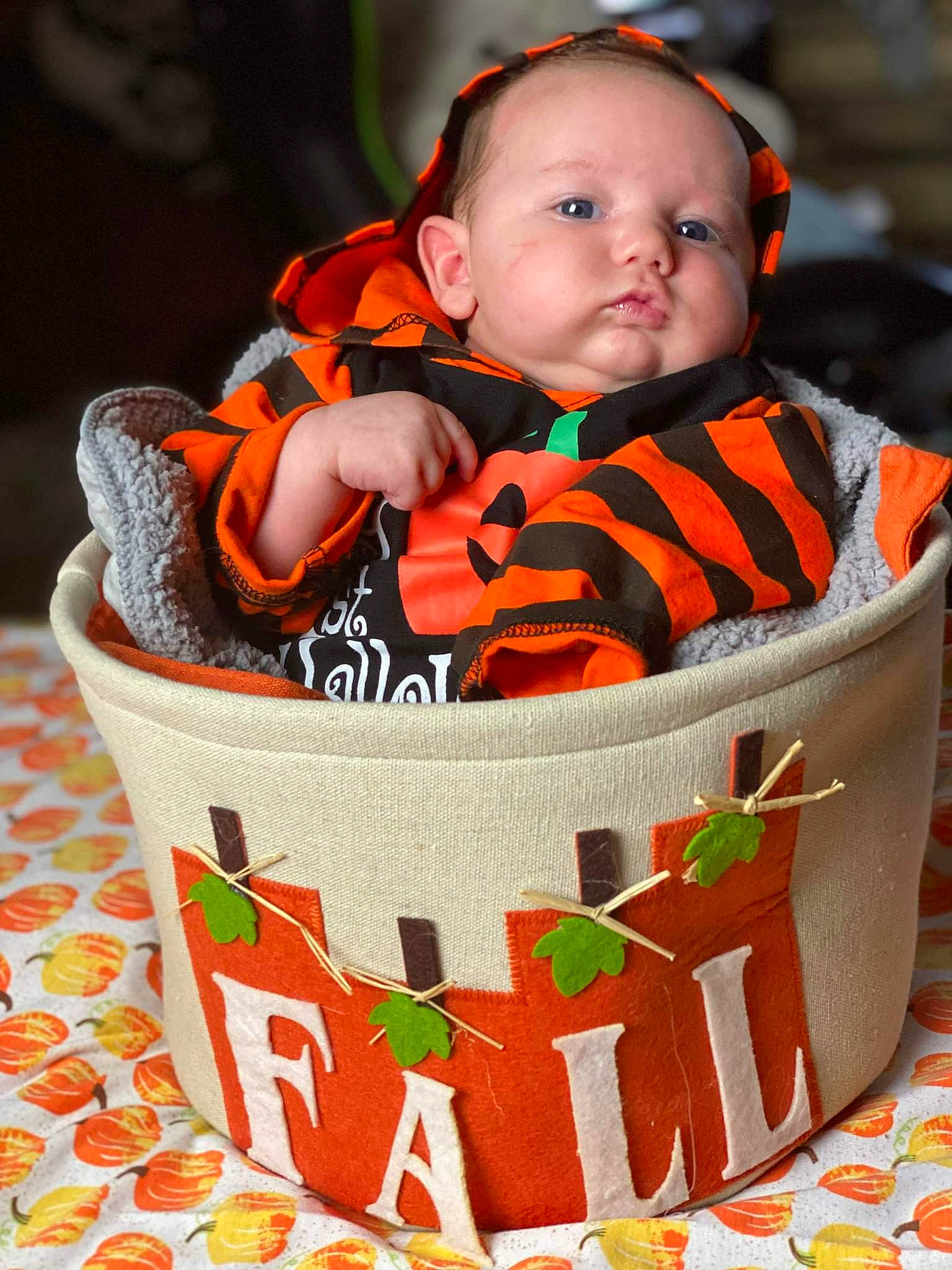 Booker joined the competition — help win amazing prizes! baby, baby_products, baby_toddler_clothing, basket, bib, chair, cheek, child, face, green, happy, head, orange, packing_materials, pattern, person, product, sitting, sleeve, sweetness