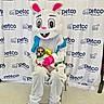 person, costume, easter_bunny, dog, pet, petco, indoor, chair, floor, curtain, logo, animal_clothing, white, pink, blue, small_dog, seated, cute, mascot, fun