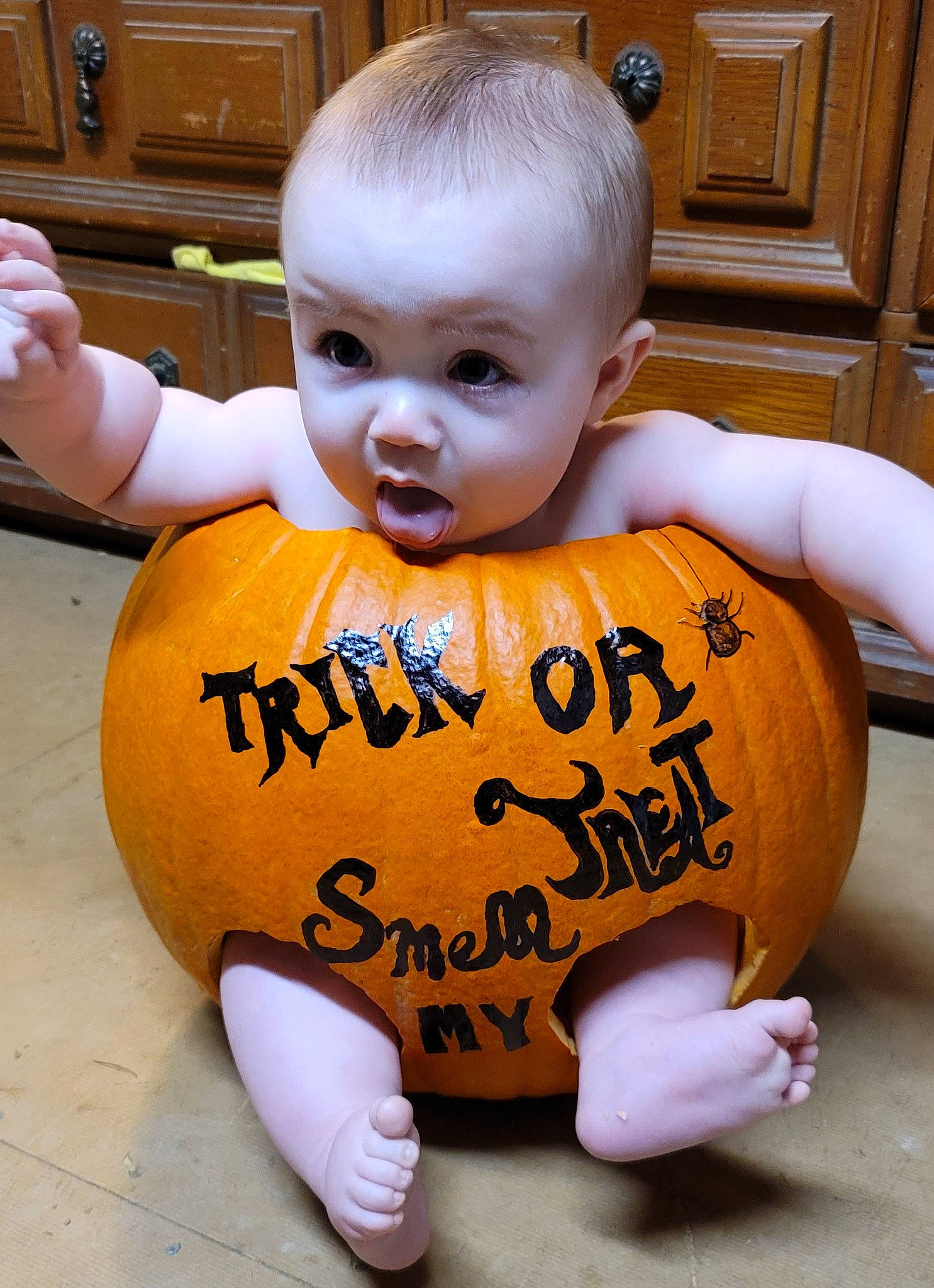 Samuel joined the competition — help win amazing prizes! baby_toddler_clothing, cabinetry, cheek, chin, eye, face, facial_expression, finger, hairstyle, happy, head, human_body, mouth, nose, orange, organ, person, plant, product, pumpkin