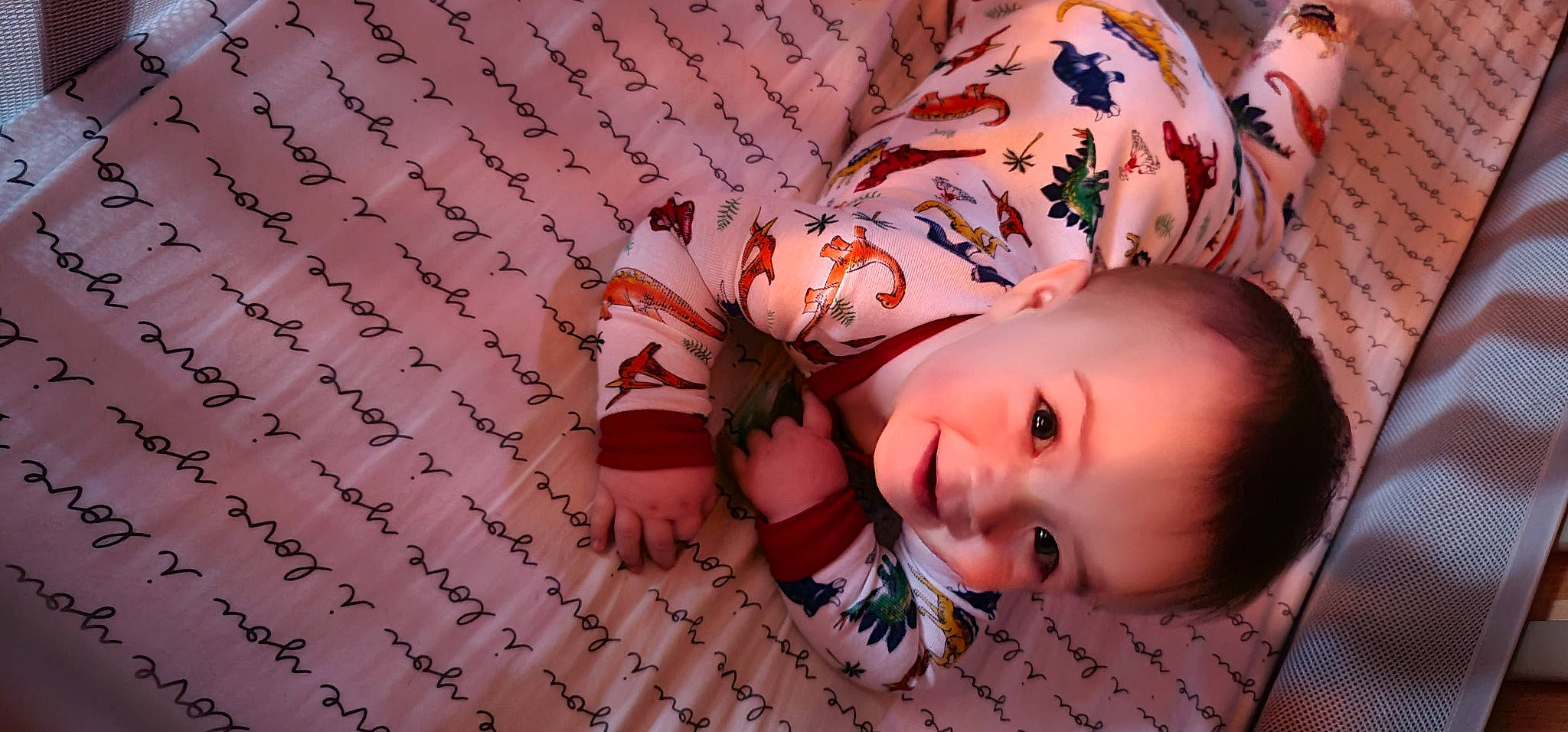 Samuel is registered to the contest to win money with this photo: arm, baby_toddler_clothing, cheek, dress, face, hand, handwriting, happy, human_body, leg, lip, nose, pattern, person, pink, plant, skin, smile, textile, tree