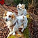 Maya Et Chipie