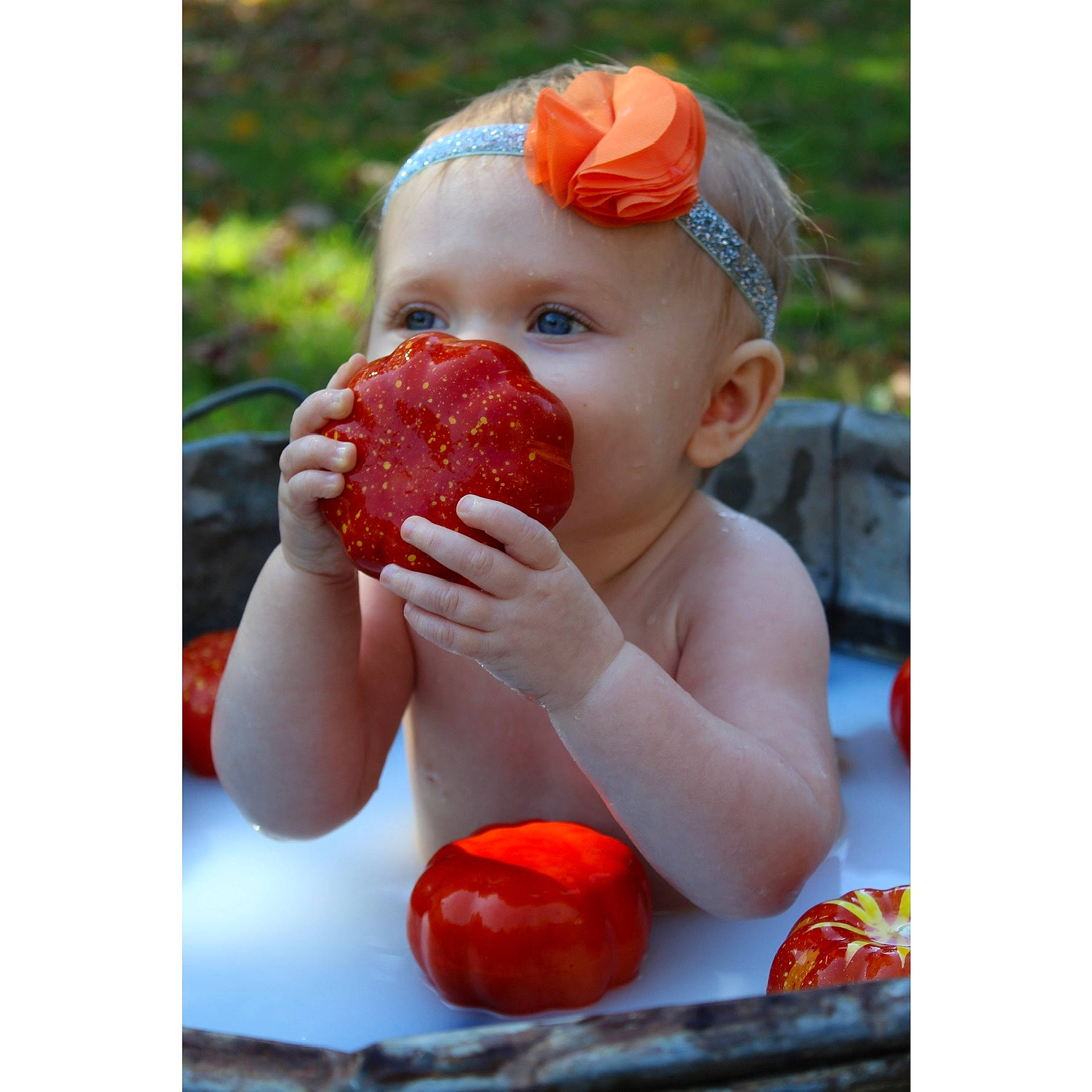 Cadence joined the competition — help win amazing prizes! baby, child, food, fruit, nose, orange, person, plant, red, strawberries, strawberry, toddler, tomato