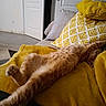 cat, orange_cat, stretching, yellow_blanket, yellow_pillow, couch, indoor, home, relaxing, sleeping, feline, fur, cozy, comfort, door, white_door, pillow, resting, pet, living_room