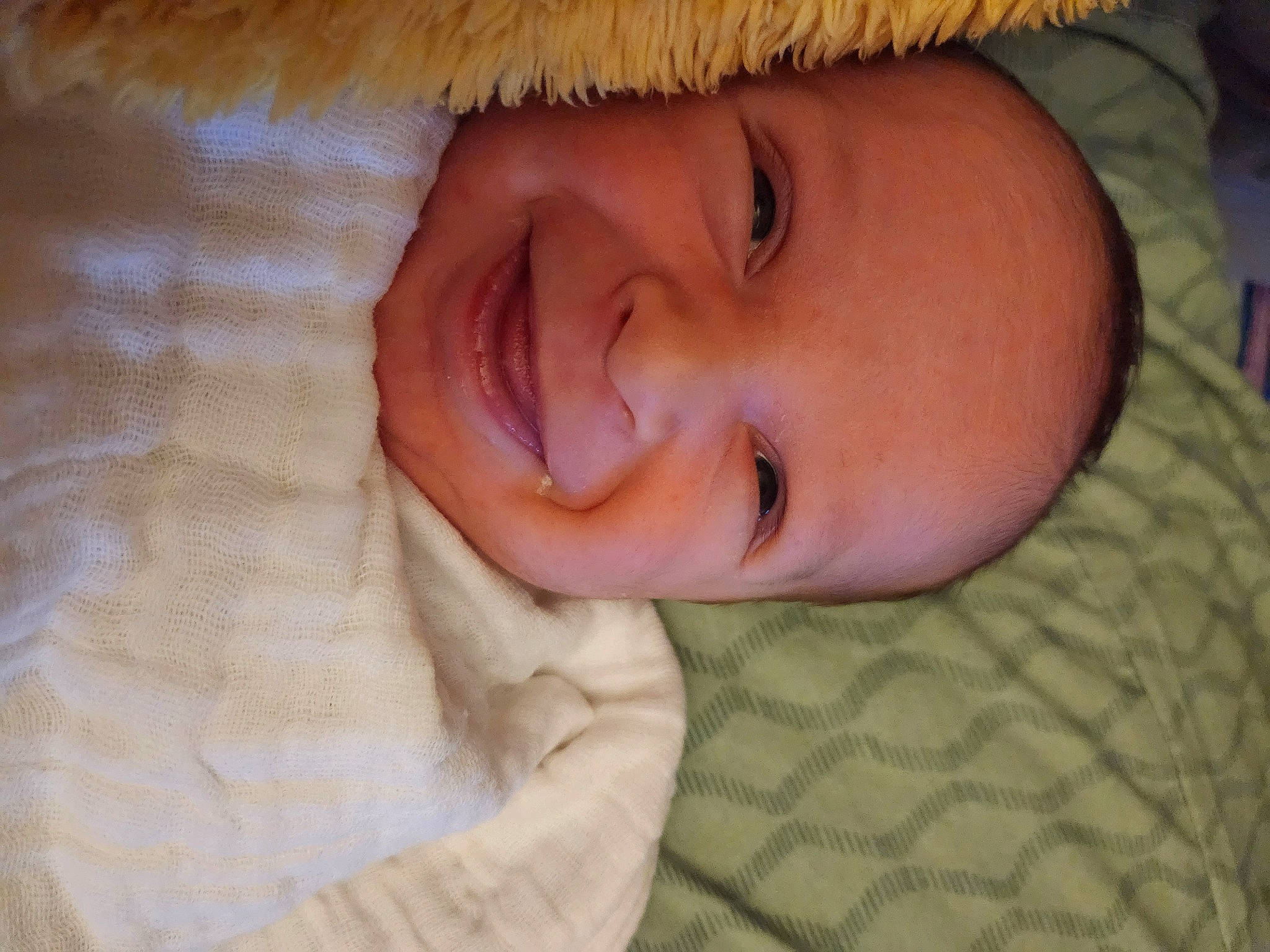 Cayden is registered to the contest to win money with this photo: baby, bedtime, cheek, child, comfort, eye, fur, happy, iris, joy, linens, lip, nap, nose, person, plant, room, smile, toddler, tree