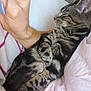 Toast Jalapeño is registered to the contest to win money with this photo: kitten, cat, sleeping, tabby, pet, animal, feline, closeup, resting, cozy, blanket, human_hand, indoor, cute, fur, paw, comfort, relaxation, napping, soft