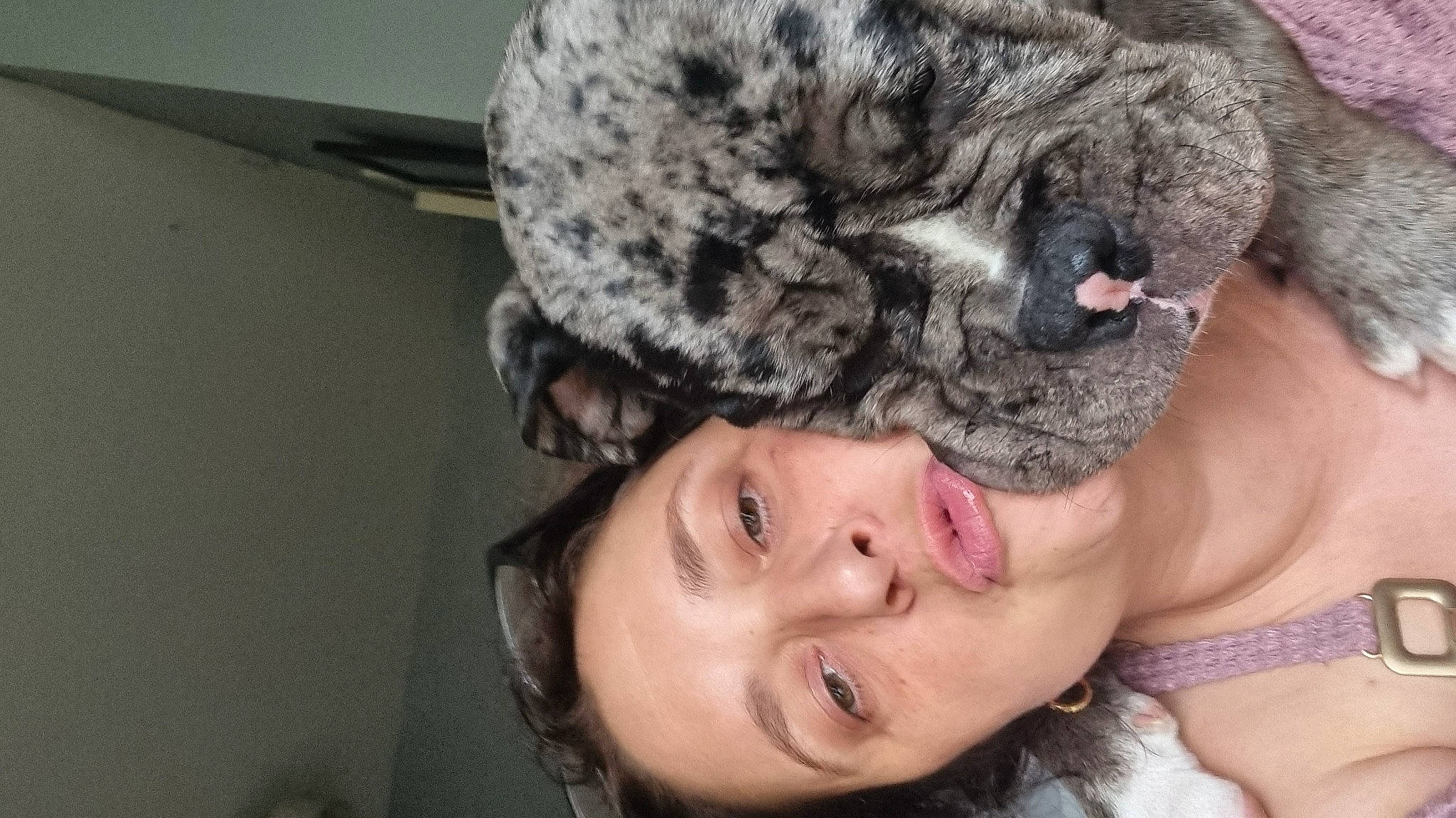 Buster is registered to the contest to win money with this photo: cap, carnivore, companion_dog, dog_breed, event, fashion_accessory, fawn, flash_photography, fun, fur, gesture, happy, head, jewellery, mammal, pattern, selfie, smile, toy, wool