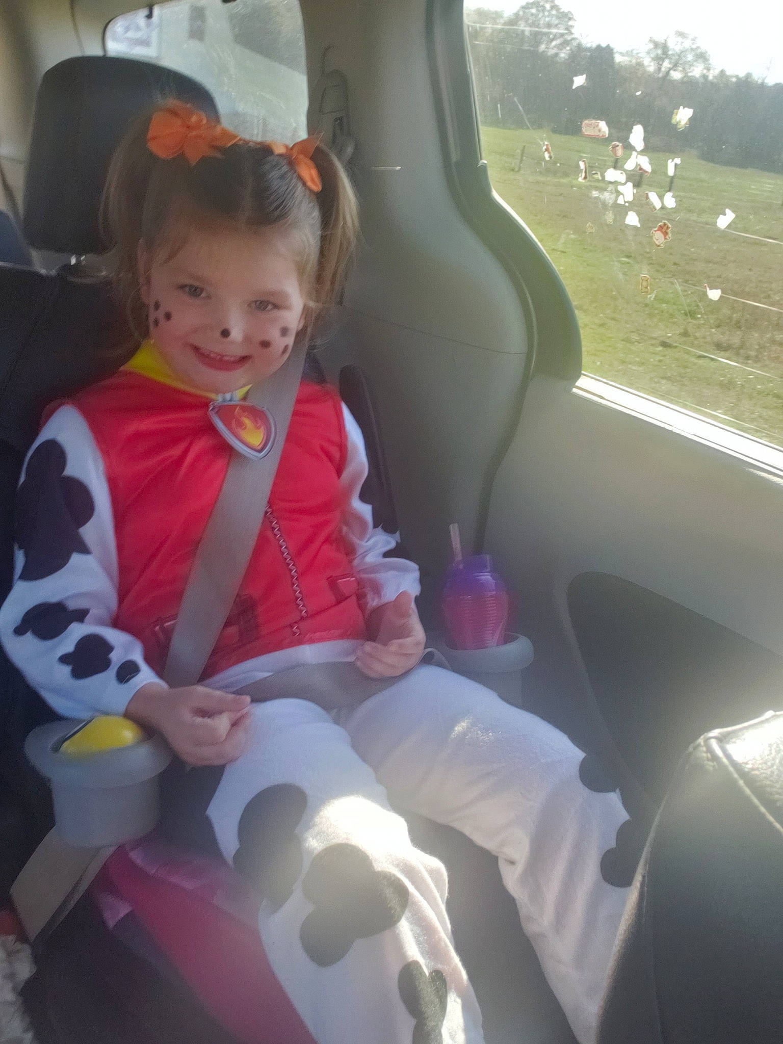 Scout joined the competition — help win amazing prizes! auto_part, baby, car, car_seat, child, joy, person, pink, plant, sitting, skin, smile, toddler, vehicle