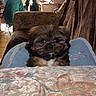 Lilou participe au concours pour gagner de l'argent avec cette photo :
