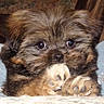 Lilou participe au concours pour gagner de l'argent avec cette photo :