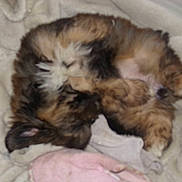 Lilou participe au concours pour gagner de l'argent avec cette photo :
