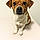 Buster Brown