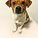 Buster Brown