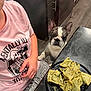 Rex is registered to the contest to win money with this photo: dog, french_bulldog, person, pink_shirt, skeleton_graphic, ravioli, black_plate, kitchen, flooring, cabinet, table, curious, pet, food, waiting, indoor, casual, hand, sitting, pants