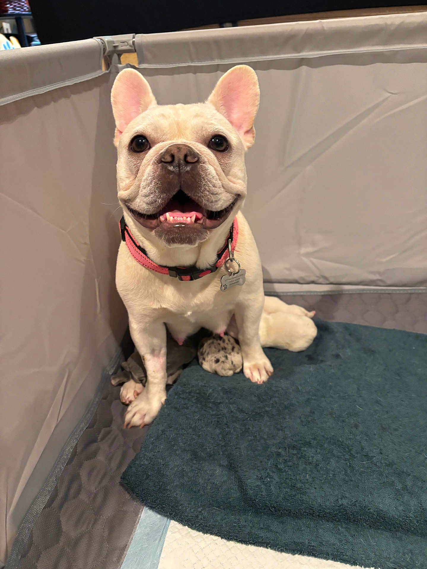 Luna