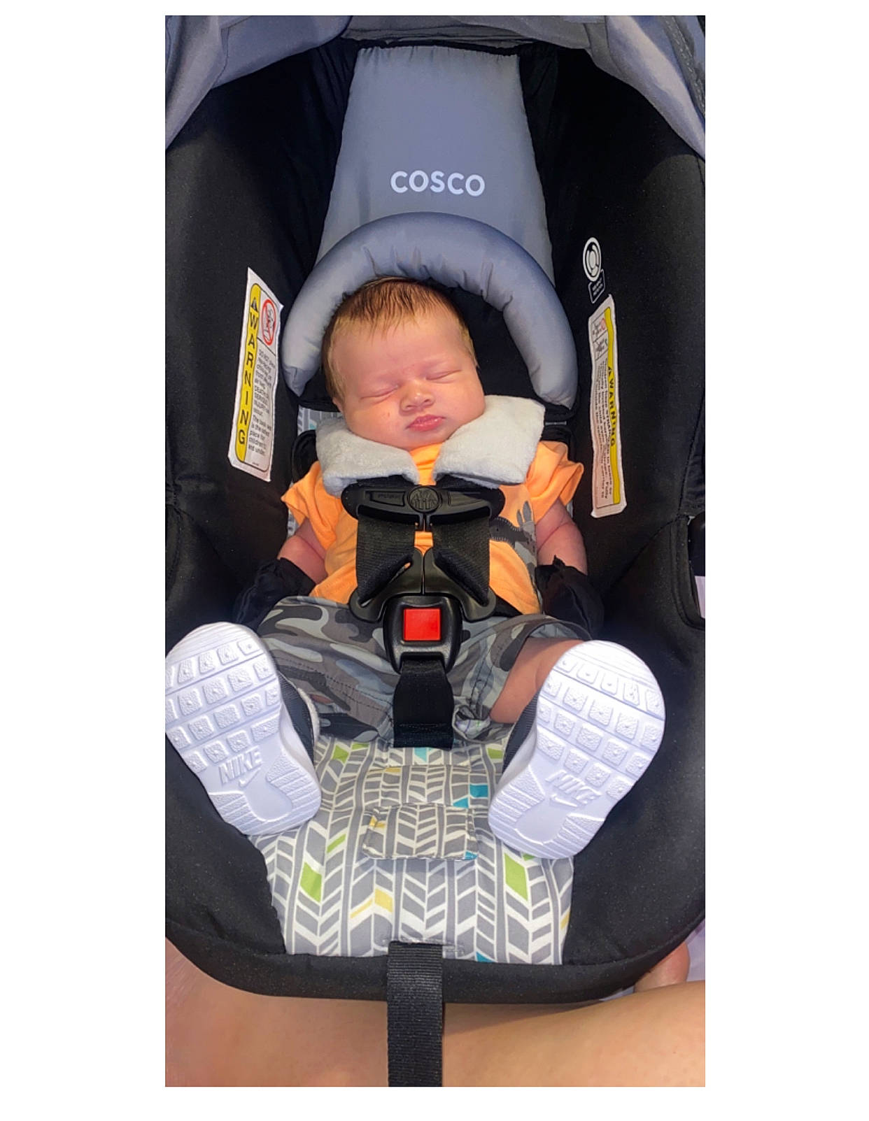 Maverick joined the competition — help win amazing prizes! baby, baby_carriage, baby_carrier, baby_products, car_seat, lifejacket, person, personal_protective_equipment, product, toddler, wetsuit
