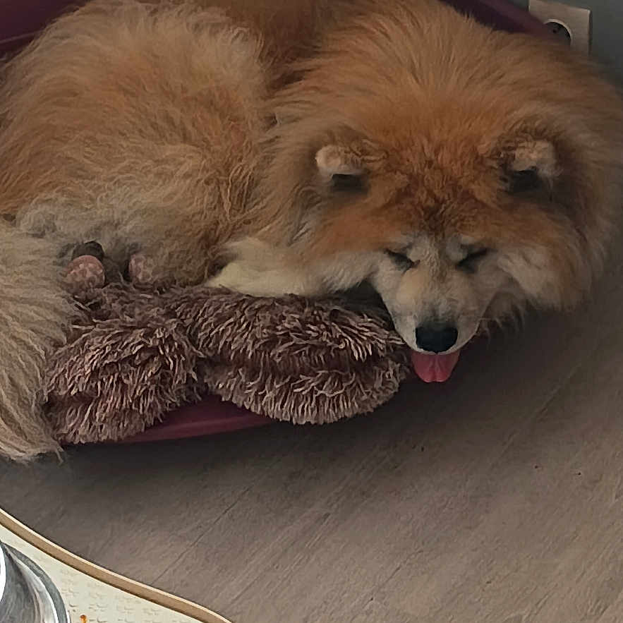Roxy