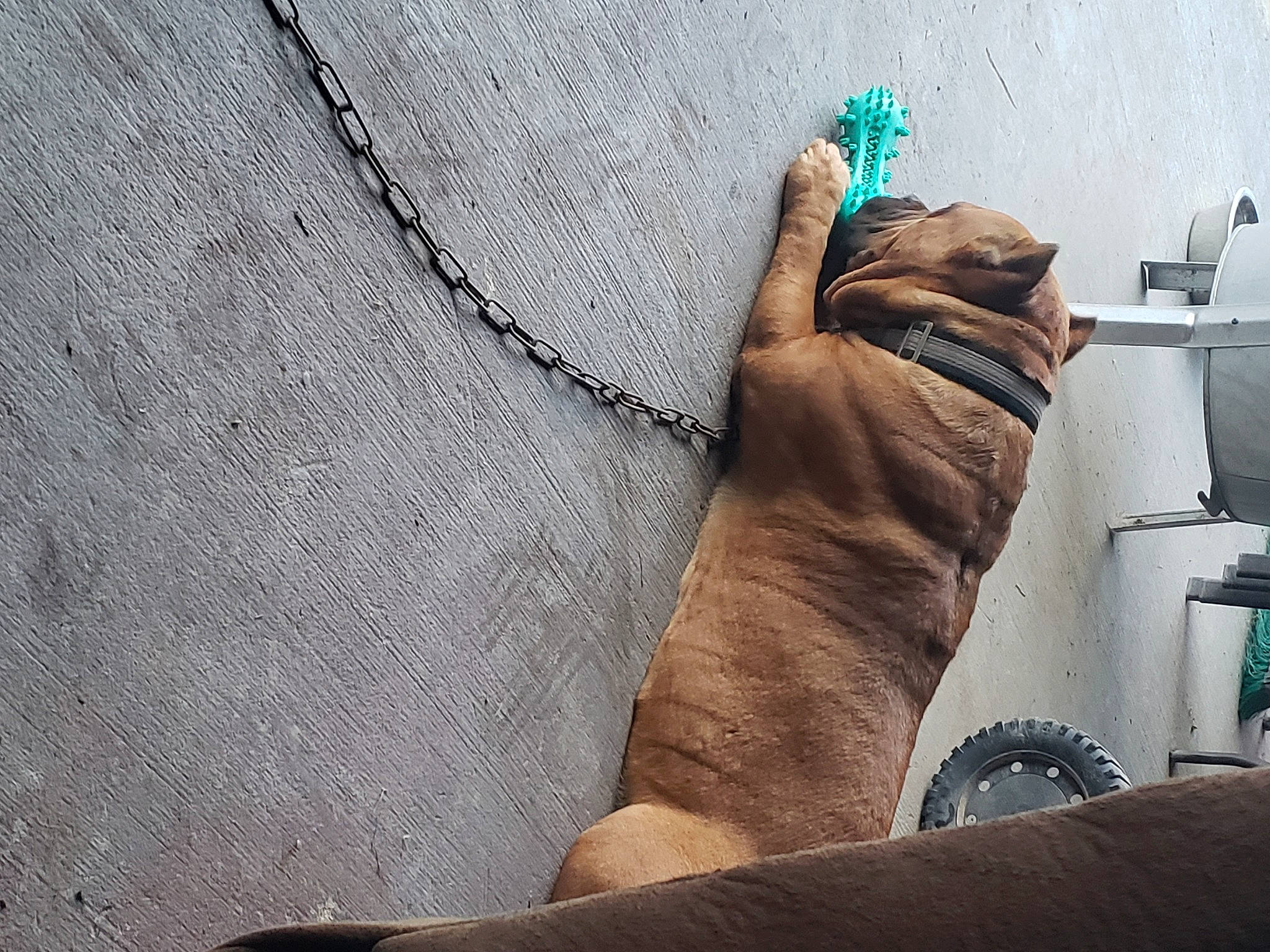 Nola is registered to the contest to win money with this photo: barefoot, comfort, elbow, foot, gesture, grey, hand, human_body, human_leg, knee, leg, nail, pattern, sleeve, textile, thigh, thumb, waist, wood, wrist