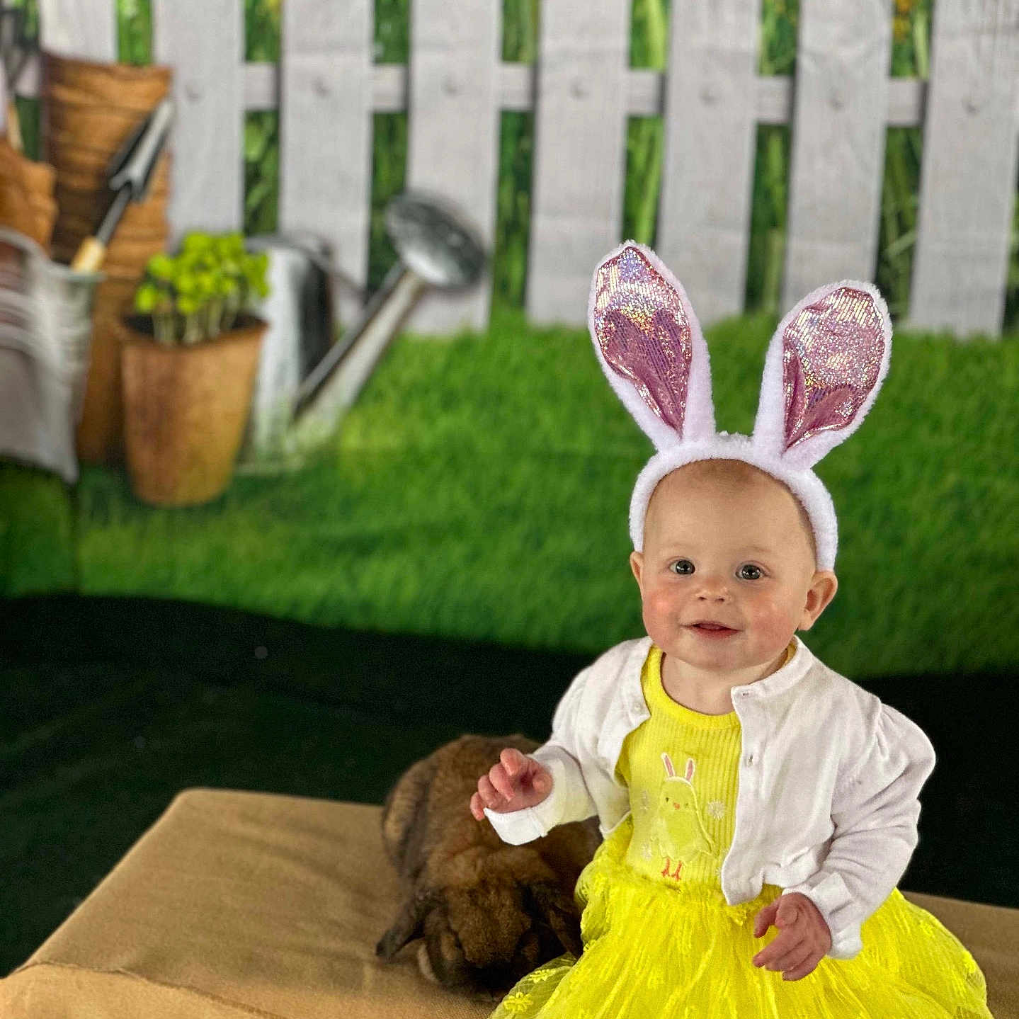Halo Grace is registered to the contest to win money with this photo: baby, backyard, clothing, costume, dress, face, fence, grass, hat, head, lawn, nature, outdoors, person, photography, plant, portrait, pottedplant, sitting, yard