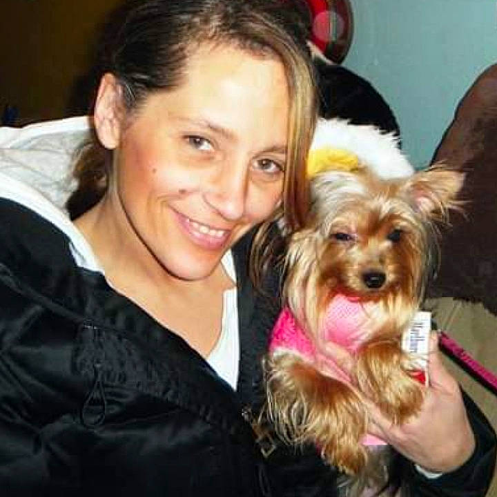 Precious is registered to the contest to win money with this photo: canidae, carnivore, companion_dog, dog, dog_breed, dog_supply, ear, fawn, fun, hair, happy, liver, puppy_love, small_terrier, smile, snout, sporting_group, terrier, toy_dog, working_animal