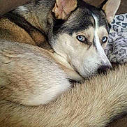 Maxx joined the competition — help win amazing prizes!