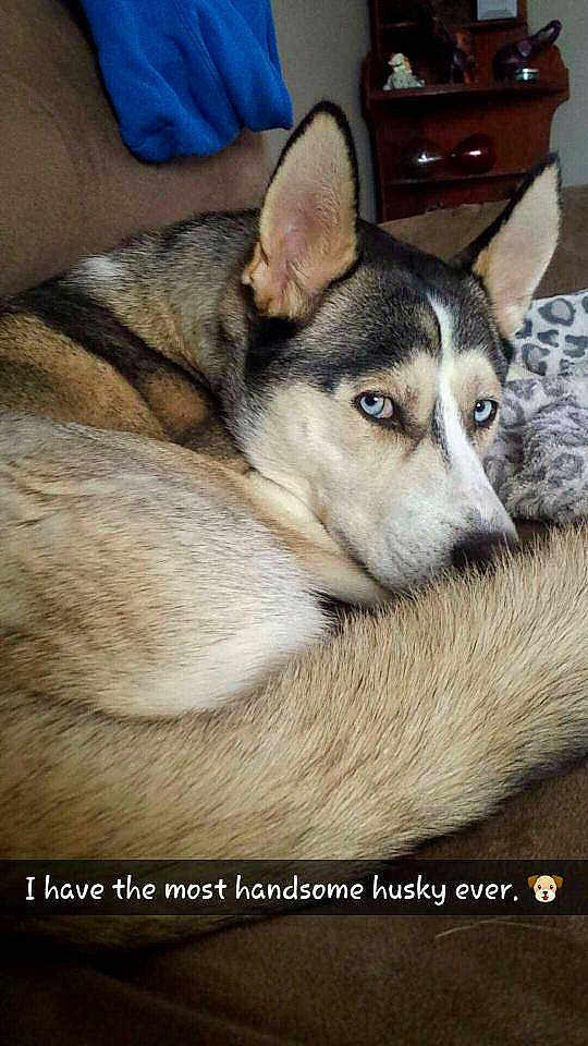Maxx