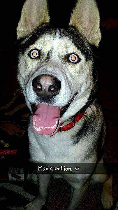 Maxx