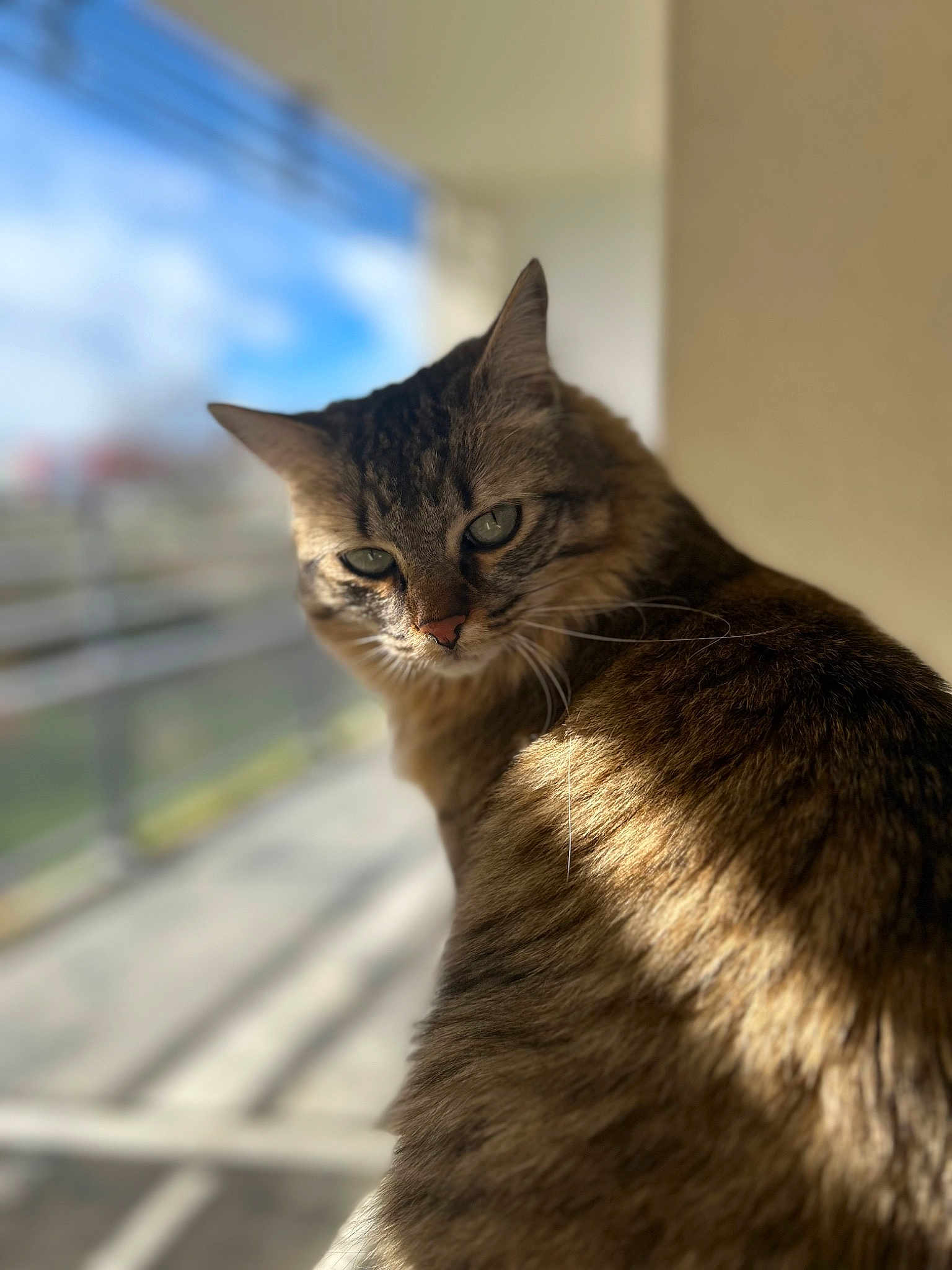 Caramel