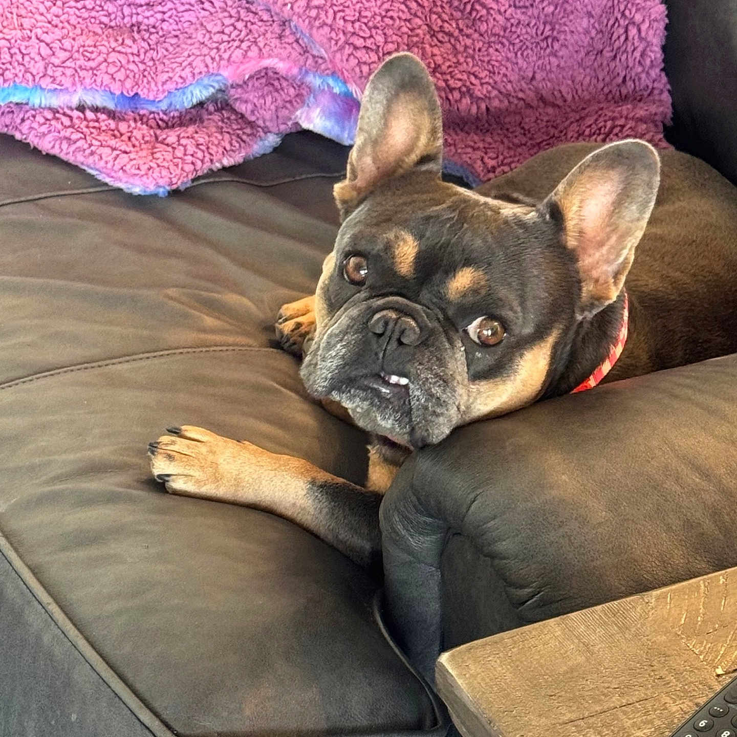 Oakley