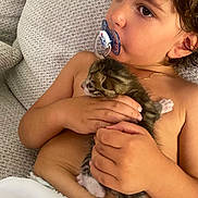 Pavle participe au concours pour gagner de l'argent avec cette photo : child, toddler, pacifier, kitten, pet, couch, texture, hand, face, brown_hair, skin, indoor, baby, comfort, cute, animal, young, relaxing, holding, closeup