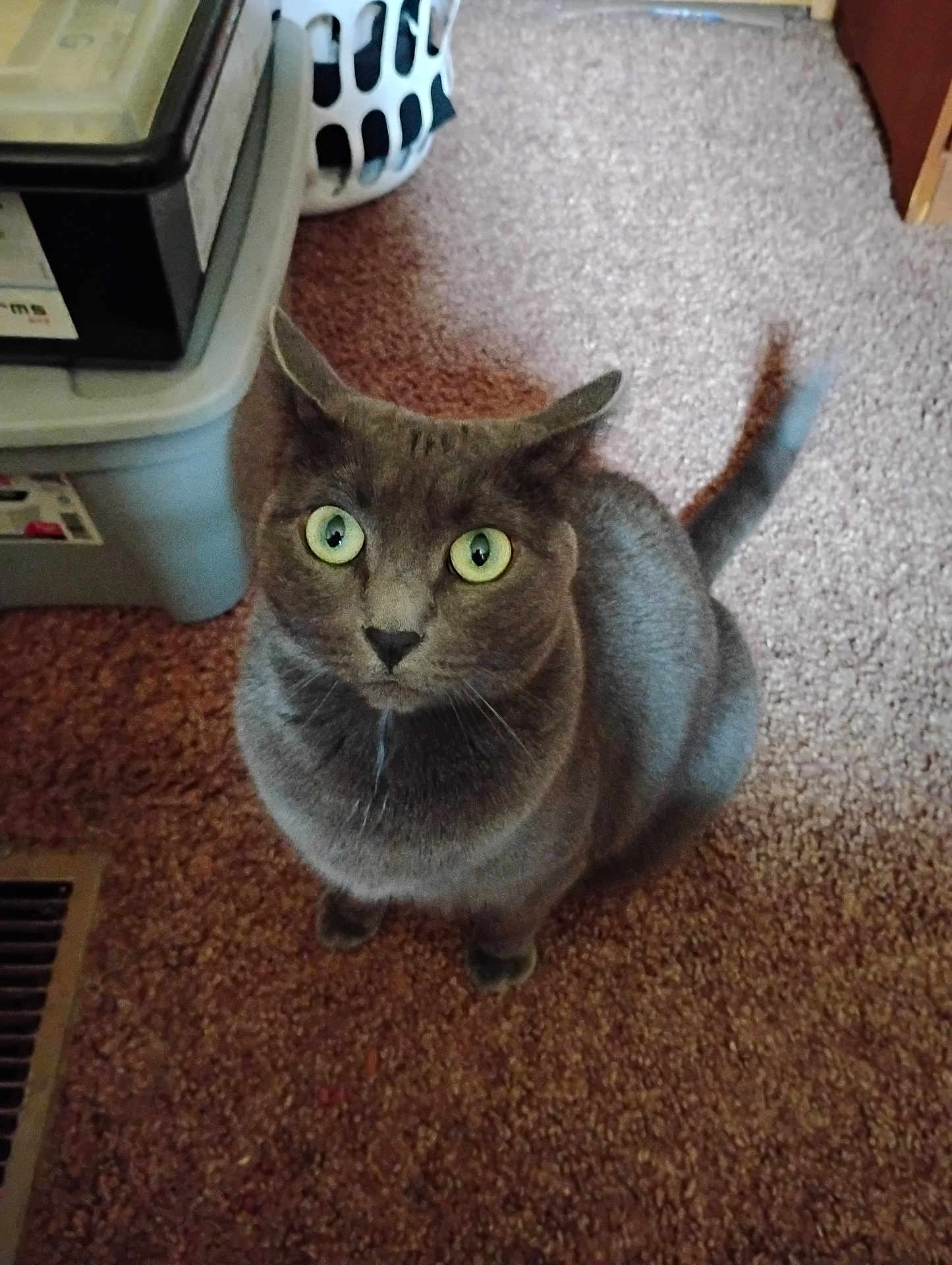 Smokey