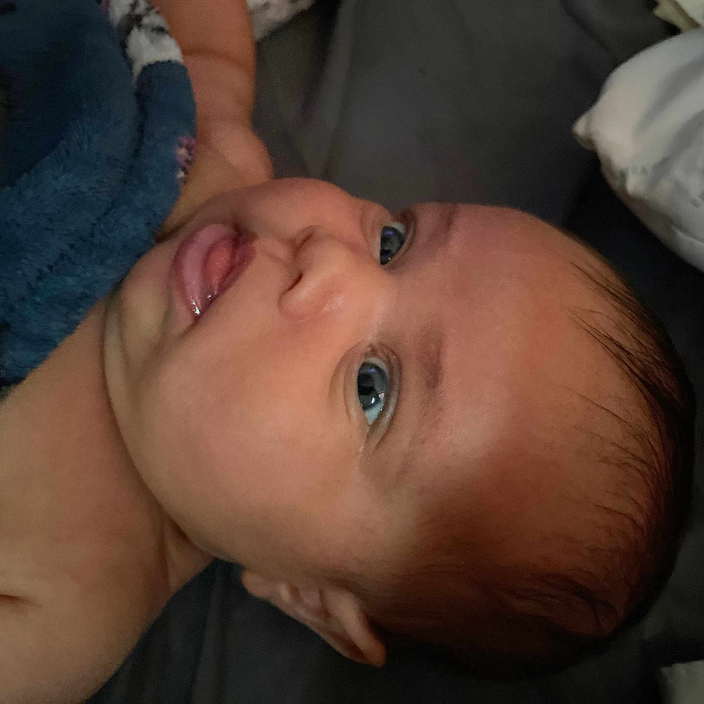 Violet is registered to the contest to win money with this photo: baby, bedding, blanket, cheek, close_up, curious, cute, ear, expression, eyes, face, hair, indoor, infant, lying_down, newborn, nose, portrait, skin, tongue