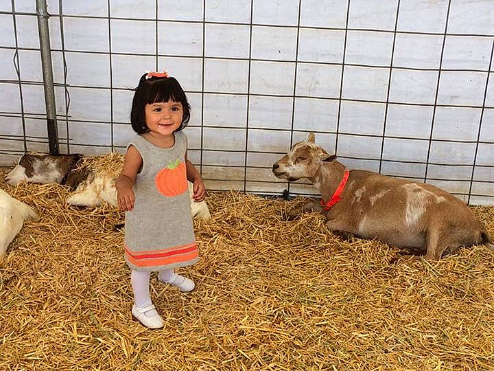 Avery-rose is registered to the contest to win money with this photo: