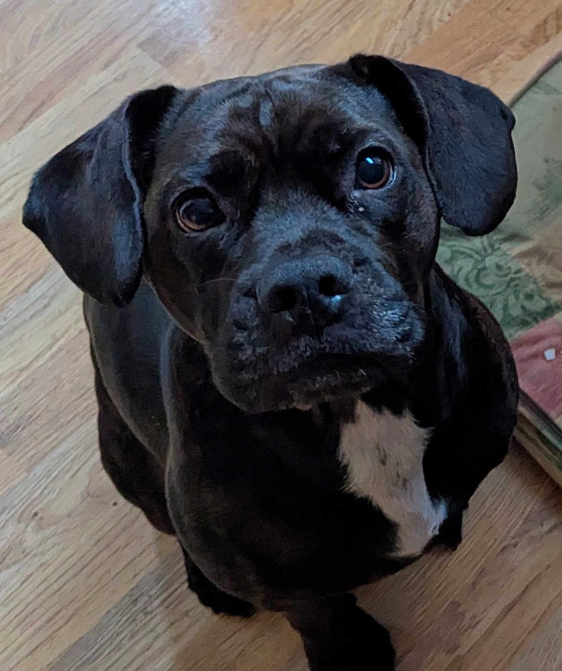 Vinny