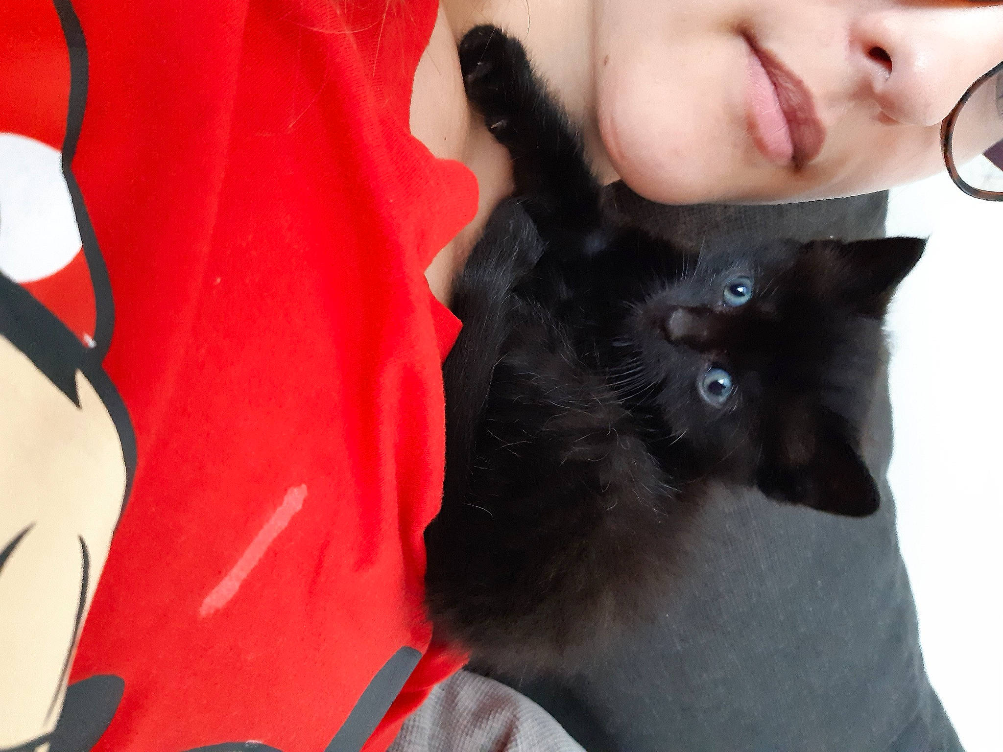 Kirikou participe au concours pour gagner de l'argent avec cette photo : black_cat, carnivore, cat, domestic_short_haired_cat, ear, fashion_accessory, fawn, felidae, formal_wear, fur, gesture, neck, outerwear, plant, sleeve, small_to_medium_sized_cats, snout, sunglasses, t_shirt, whiskers