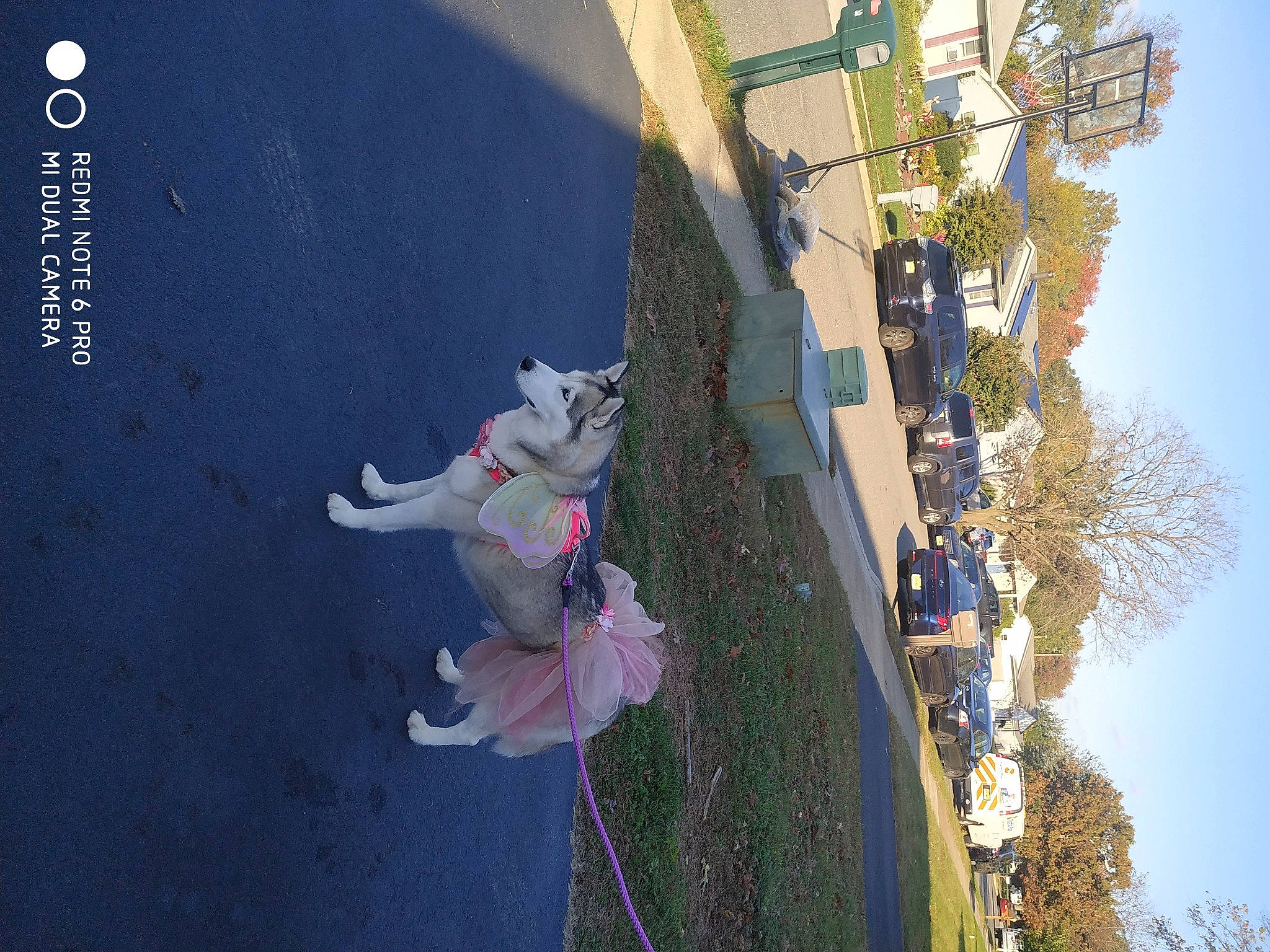 Mystery joined the competition — help win amazing prizes! asphalt, building, city, facade, fun, landscape, leisure, plant, pole, recreation, reflection, road, road_surface, shadow, sky, space, street_light, tree, urban_design, world