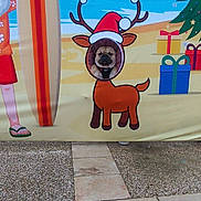 Ulysse a rejoint le concours — aidez-le/la à gagner de superbes lots ! dog, reindeer_cutout, santa_hat, beach, surfboard, gifts, holiday, festive, illustration, outdoor, pavement, funny, cute, pet, christmas_tree, face_cutout, animal, summer, celebration, decor