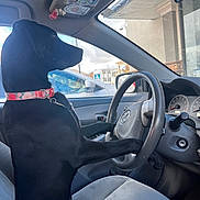 Willow joined the competition — help win amazing prizes! dog, black_dog, pet, animal, car_interior, steering_wheel, seat, collar, window, parking_lot, vehicle, dashboard, door, leash, side_mirror, sky, clouds, building, toyota_logo, humorous