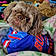 Shamus