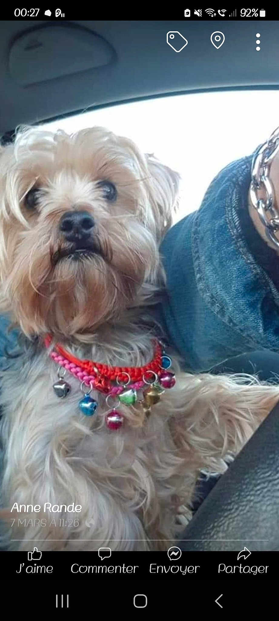 Dixie